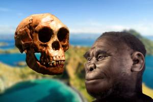 ¿Qué cambio hizo desaparecer a los ‘hobbits’ de Indonesia? Un nuevo estudio apunta a una causa inesperada que originó la extinción de Homo floresiensis