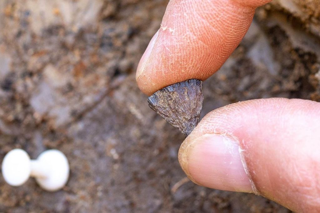 Puede parecer insignificante, pero este pequeño fragmento de pirita es fundamental para comprender cómo empezamos a utilizar el fuego en las primeras etapas de nuestra historia