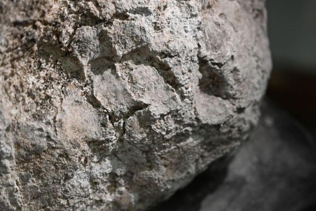 Las marcas de los dedos quedaron grabadas en la superficie del yeso