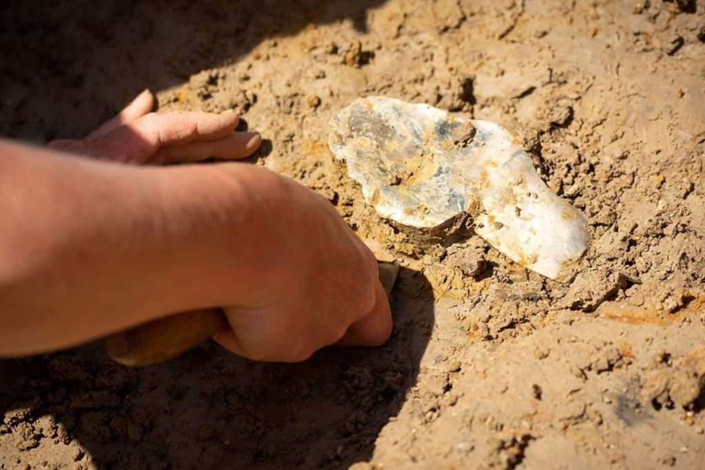 Han aparecido en Barnham numerosas herramientas de sílex que revelan la presencia de dos tradiciones culturales claramente diferenciadas