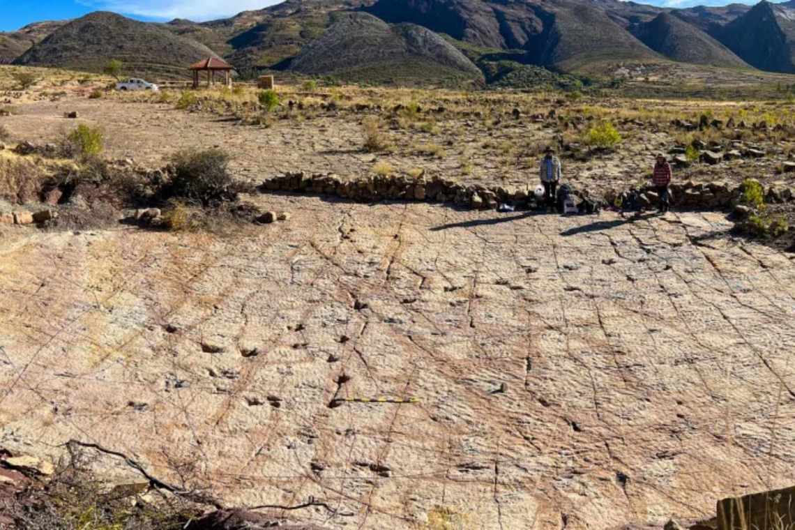 Bolivia registra el mayor hallazgo de huellas de dinosaurios terópodos del mundo