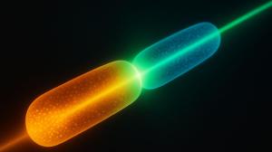 Crean una especie de ‘cerebro cuántico atómico’ que imita circuitos eléctricos sin usar electrones